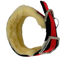 Padded Hunting Dog Collar 1.5 Webbing 3 Ply Heavy Duty USA Hand Made - £14.98 GBP