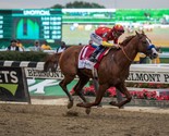 JUSTIFY 8X10 PHOTO HORSE RACING PICTURE JOCKEY BELMONT STAKES - £3.88 GBP