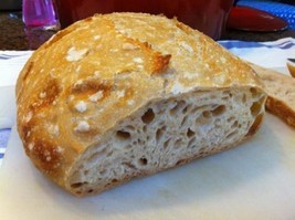 SOURDOUGH STARTER yeast powder for mixer or bread machine recipes larry new - $7.72