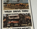 Vintage Lion Country Safari Brochure West Palm Beach Florida BRO13 - £11.64 GBP