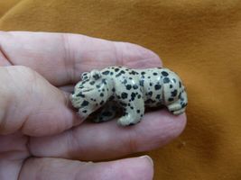 (Y-PANT-584) spotted Jasper PANTHER stone LEOPARD big wild cat GEMSTONE ... - $19.99