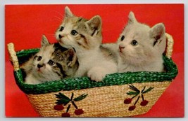 Adorable Kittens in Wicker Basket with Cherries Cats Postcard J27 - $4.95