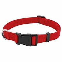 WESTMINSTER PET PRODUCTS 31878TV Pet Expert 1&quot; x 26&quot; Red Dog Collar, Var... - €17,36 EUR