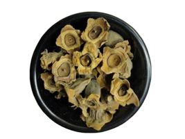 Dried Vakumbha, Bay Khumba-Careya Arborea Kumbhi Baikhumba 50g - $198.27 MXN