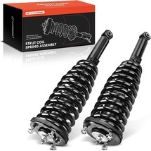 Rear Side APM Front Pair (2) Complete Strut &amp; Coil Spring Assembly Shock - $300.94