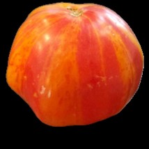 Mr Stripey Tomato Seeds Indeterminate Beefsteak Variety Open Pollinated Tomato S - £6.43 GBP