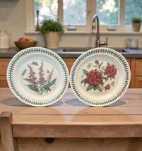 Set of 2 NWT Portmeirion Botanic Garden 10.5-Inch Dinner Plates-foxglove... - $49.49