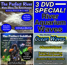 3 DVD SET The Perfect River, Ocean Waves, Goldfish Aquarium Ambient WATER Videos - £14.92 GBP