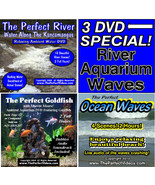 3 DVD SET The Perfect River, Ocean Waves, Goldfish Aquarium Ambient WATE... - £14.85 GBP