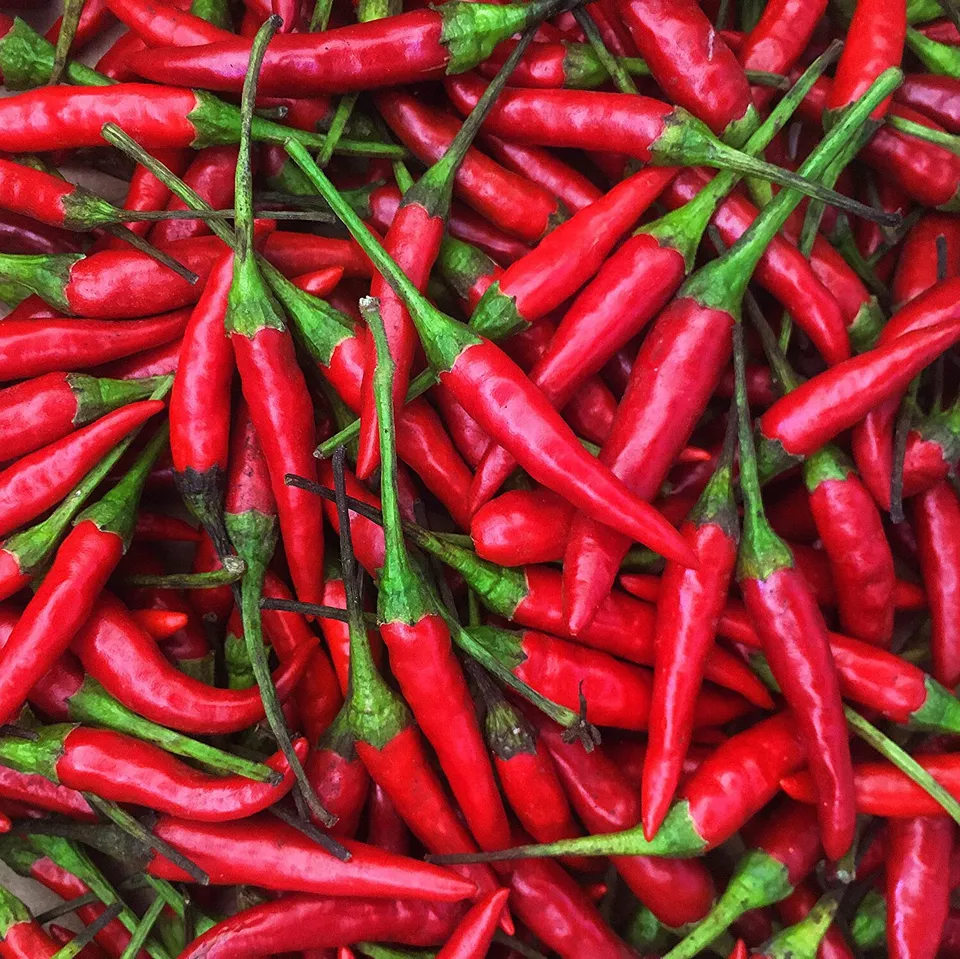 MBK 10 Seeds Thailand Organic Bird&#39;S Eye Chili Pepper Hot Packs Sale - $9.73