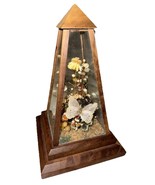 Vintage Dunston Glass Enclosed Dried Butterfly Flower Arrangement Brazil... - $472.26 MXN