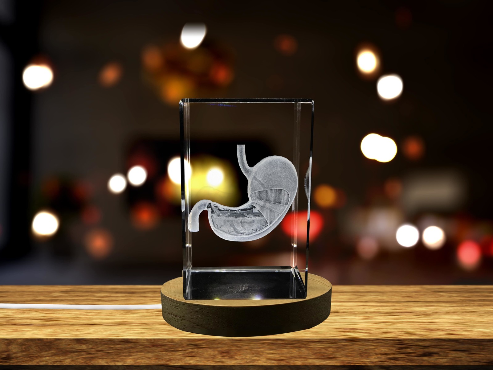 LED Base included | Stomach Art | 3D Engraved Crystal Keepsake | Gift/Decor
