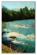 Elwha River Olympic National Park Washington WA UNP Chrome Postcard V23 - £3.22 GBP