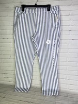 Old Navy Pixie Ankle Pants Womens Size 14 Blue White Vertical Striped St... - $20.79