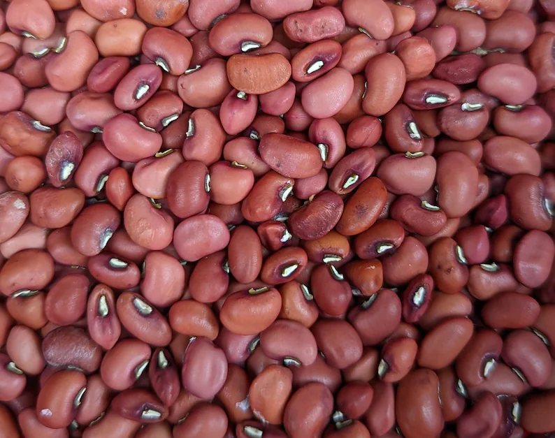 Cowpea Red Ripper, 50 Seeds R - £11.28 GBP