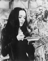 The Addams Family Carolyn Jones 8x10 HD Aluminum Wall Art - £31.46 GBP