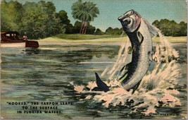 Postcard Hooked the Tarpon Leaps to the Surface in Florida waters fish boat - £4.26 GBP