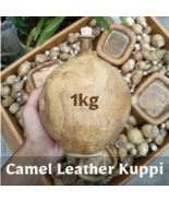 1kg Vintage Handmade Traditional Camel Skin Leather Kuppi Bottle Vessel Bag - $143.59 CAD