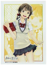 Bushiroad Sleeve Collection HG Vol.288 - Guilty Crown [Hare Menjou] - $196.45 MXN