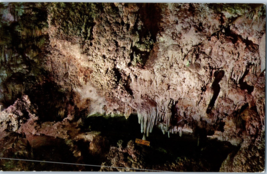 Green Lake Room Carlsbad Caverns National Park New Mexico Postcard - £5.39 GBP