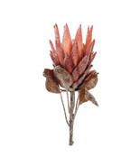 Red Protea Flower Stem (Set of 2) - €47,16 EUR