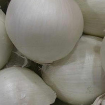 Ship From Us Southport White Globe Onion Seeds ~2 Oz Packet Seeds - NON-GMO TM11 - £58.93 GBP
