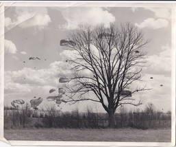 Vintage 8x10 Photograph 1940s Air Force Paratroopers Landing - £22.53 GBP