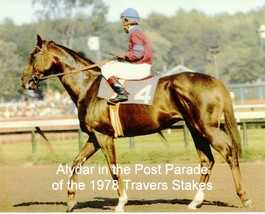 1978 - ALYDAR in the Travers Stakes Post Parade at Saratoga - Color - 10&quot; x 8&quot; - £15.80 GBP