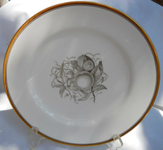 Spode Chatham Fruit Dinner Plate S No 4 Gold Trim Y5280 Gray - £56.23 GBP