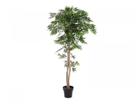 EUROPALMS Ficus Longifolia,Artifical Plant,165cm - £143.91 GBP