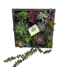 WALL OF FAUX SUCCULENT Cactus in Gray Wood Box Decor Display 12x12x3 inc... - $69.29