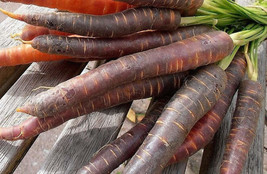300 pcs Black Nebula Carrot Daucus Carota Root Vegetable Seeds - £7.07 GBP