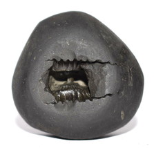 Narayan Shaligram / Narayana Salagram - Gandaki River Nepal - $112.21