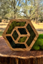 Unique Wooden Hexagon Wall Decor with Moss – Nature-Inspired Art - Custo... - $105.00