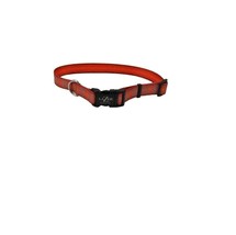 Lazer Brite Cat Safe Collar Reflective safety 1 x 18-26&quot; Orange Aztec - £15.62 GBP