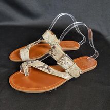 Vince Camuto Women Tad Sandal Leather 7.5 M 38 Shoes Flip Flops Leather ... - $15.83