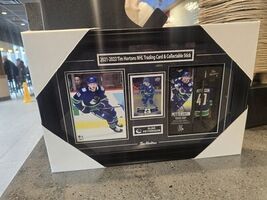 Ellas Pettersson Tim Hortons Limited Edition Stick  Card Combo Framed Ph... - $253.08