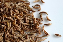 2 000 Caraway Seeds For Growing Meridian Fennel Persian Cumin Non-Gmo Garden - £6.27 GBP
