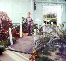 1966 Cute Boy Garfield Park Conservatory Bridge Ektachrome 127 Color Slide - £2.59 GBP