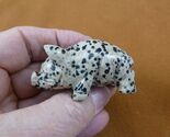 Y-PIG-ST-702) Spotted Dalmatian jasper PIG Piggy gemstone FIGURINE pigle... - $19.74