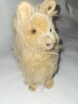 Rare Antique Steiff Spitz Or Pomeranian Dog  Early Ear Button  7" X 6" X 3" - £396.90 GBP