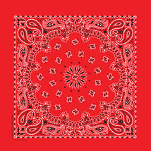 Carolina Creative Bandanna (Red) Paisley Print 35&quot; x 35&quot; Hav-A-Hank X-Large - £8.68 GBP