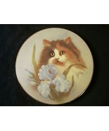 SUMMER SUNSHINE Cat collector plate BOB HARRISON Petals and Purrs CALICO... - £27.45 GBP