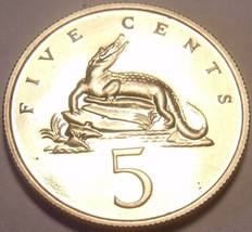 Rare Proof Jamaica 1974 5 Cents~American Crocodile~Only 22,000 Minted~Free Ship - £3.59 GBP