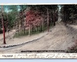 Horse Shoe Curve Boulevard Ann Arbor MI Michigan 1907 DB Postcard P13 - $4.90
