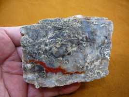 DF708-10) 12 Oz Fossil Real Dinosaur Poop Coprolite Dino Utah Jurassic Dung Scat - £43.47 GBP