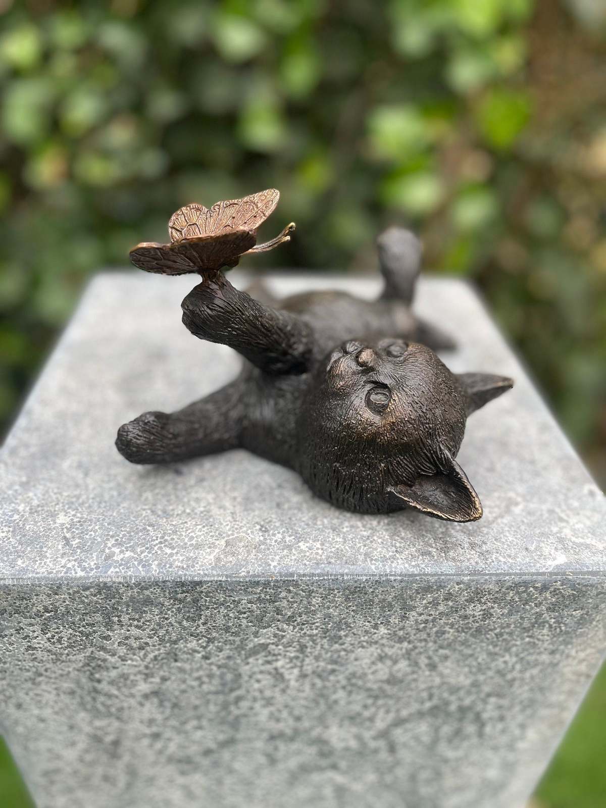 Playful Kitten – Bronze Sculpture. 11x16x22cm - 1.2Kg - $249.95
