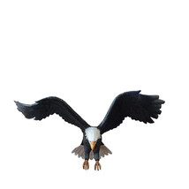 American Bald Eagle Attacking Life Size Statue - £1,495.45 GBP