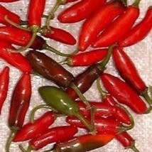 US Seller 200 Hot Serrano Tampiqueno Pepper Mexican Chile Capsicum Annuu... - £11.08 GBP