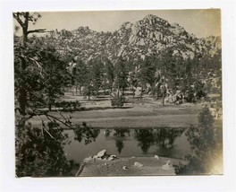 Branch of Hanson Lagoon B&amp;W Photo Baja California Mexico 1902  - £118.58 GBP